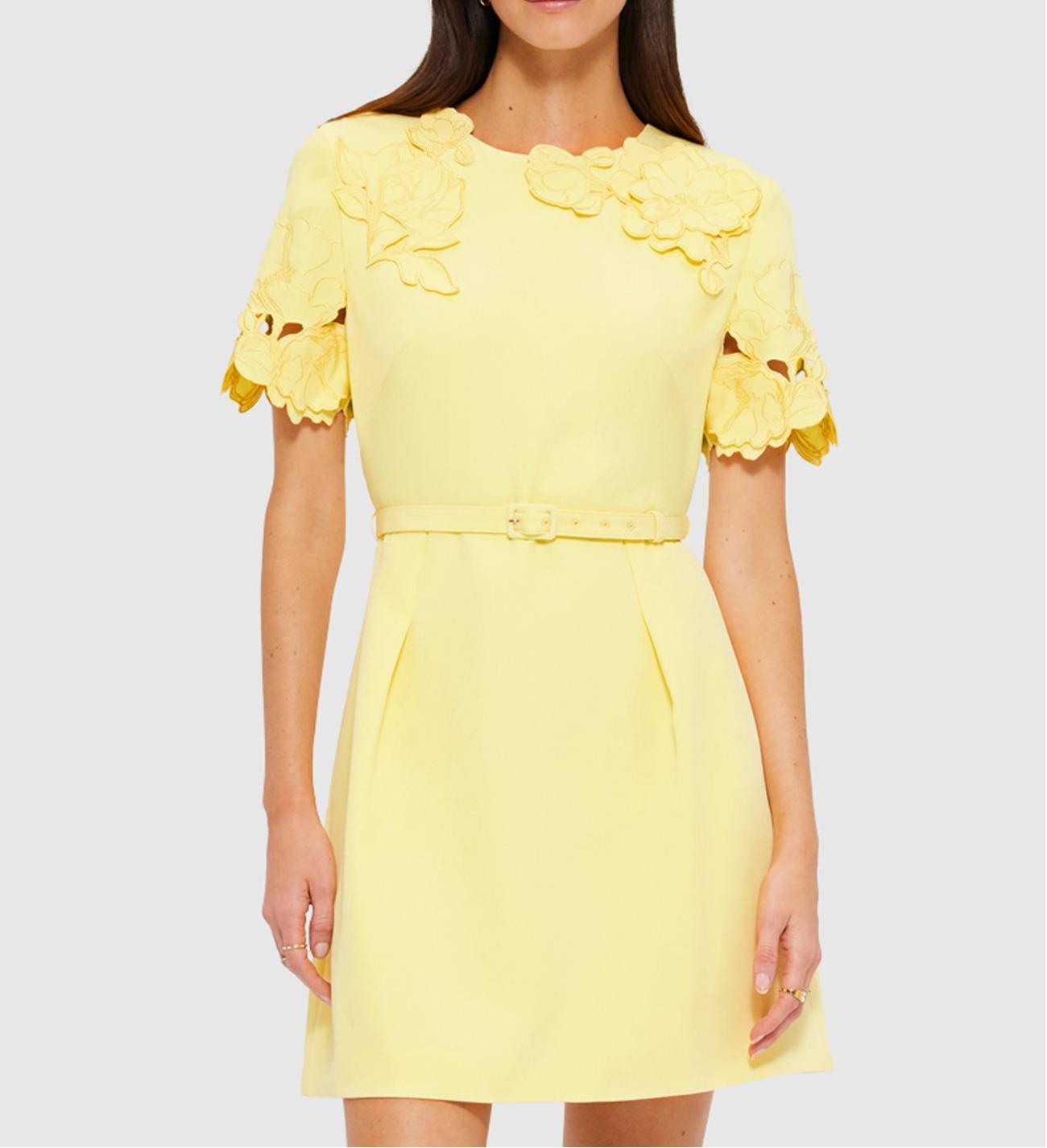 Appliqué Short Sleeve Mini Dress - Sorbet Yellow