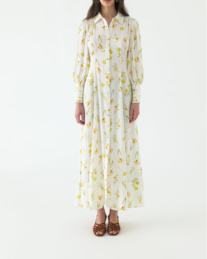 Collar Maxi Shirt Dress