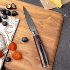 Professional Chef Knife Set with Roll-up Knife Bag